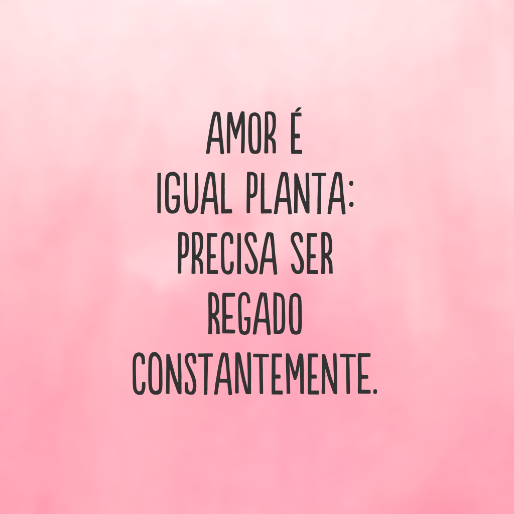 Amor é igual planta: precisa ser regado constantemente.