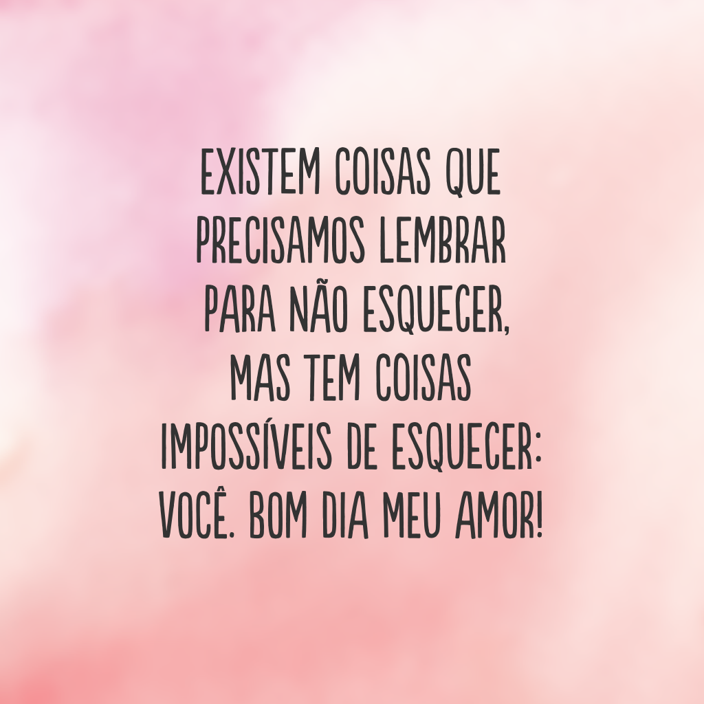 Existem coisas que precisamos lembrar para não esquecer, mas tem coisas impossíveis de esquecer: você. Bom dia meu amor!