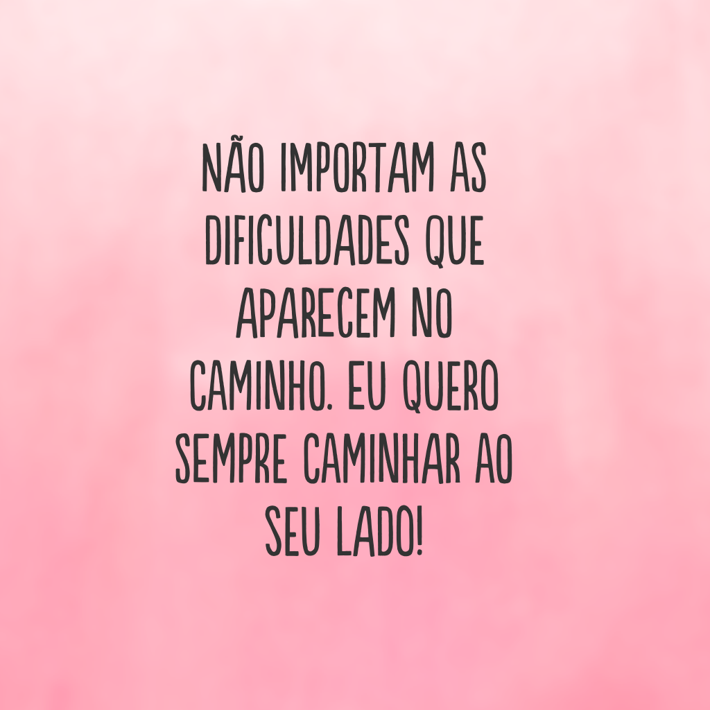 Não importam as dificuldades que aparecem no caminho. Eu quero sempre caminhar ao seu lado!