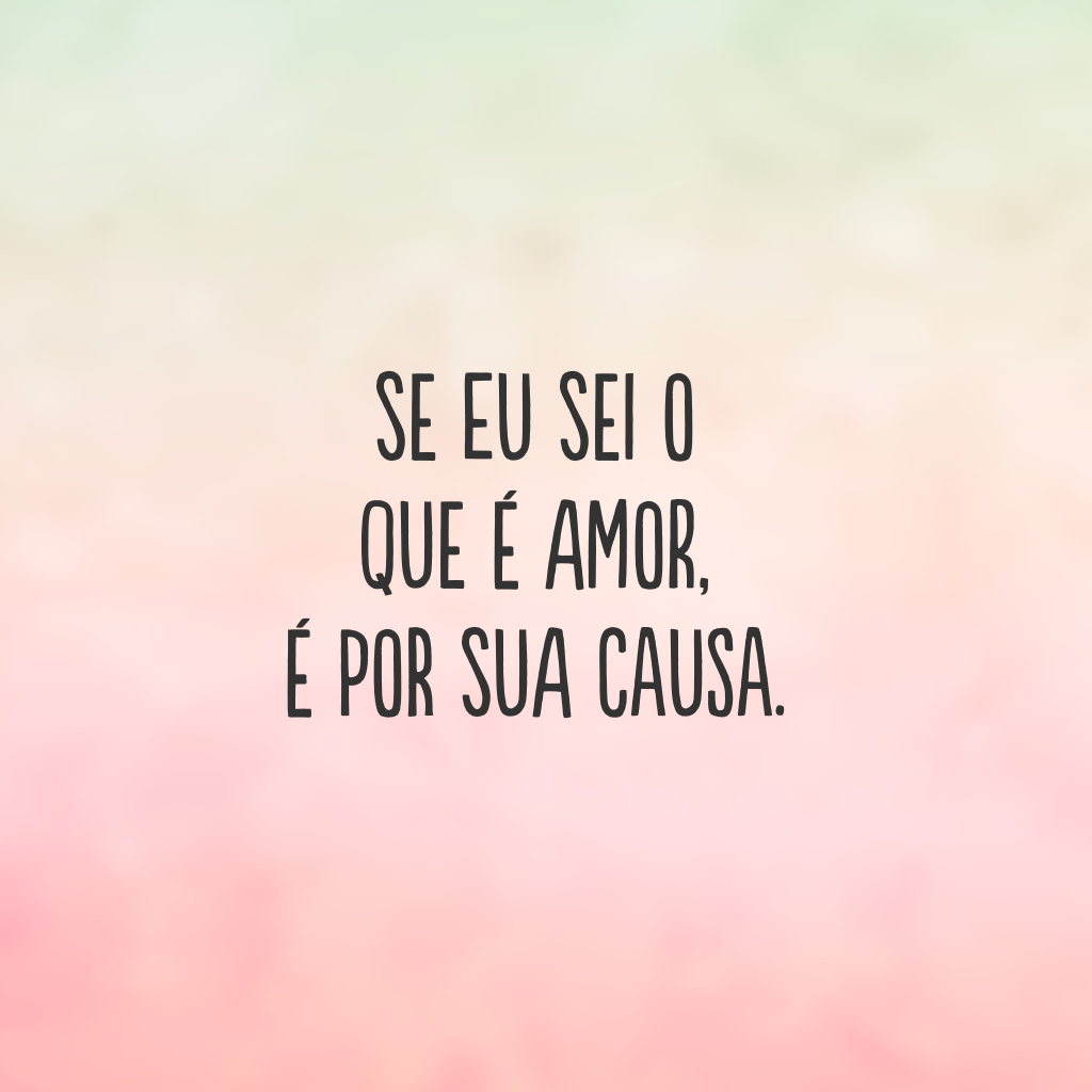 Se eu sei o que é amor, é por sua causa.