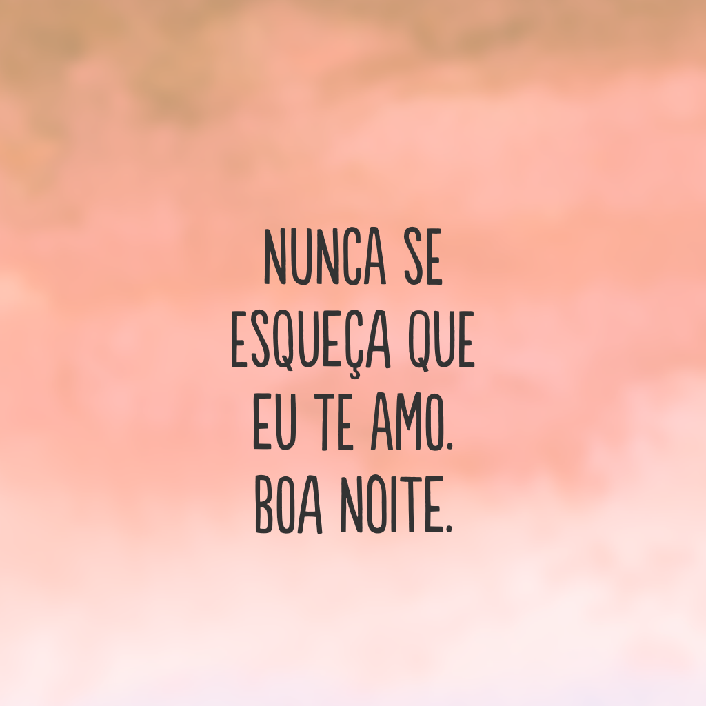 Nunca se esqueça que eu te amo. Boa noite.