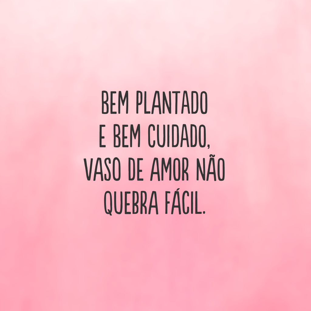 Bem plantado e bem cuidado, vaso de amor não quebra fácil.