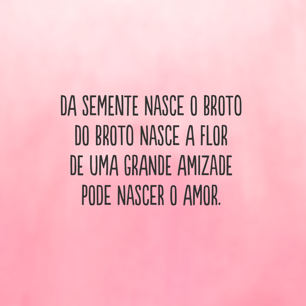 Da semente nasce o broto 
do broto nasce a flor 
de uma grande amizade 
pode nascer o amor.