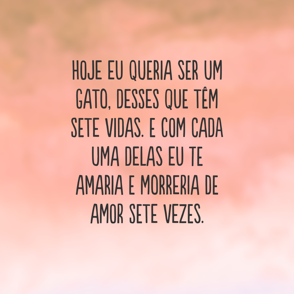 Hoje eu queria ser um gato, desses que têm sete vidas. E com cada uma delas eu te amaria e morreria de amor sete vezes.