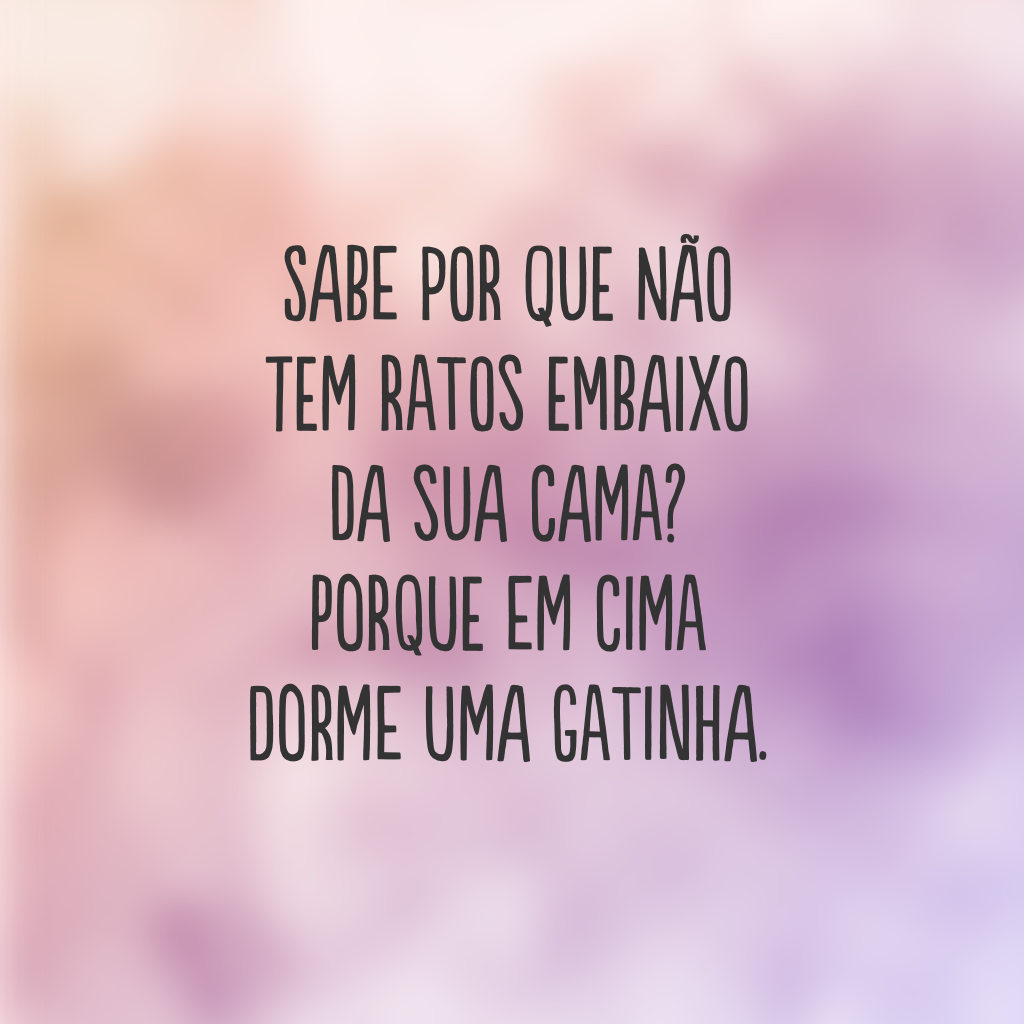 Sabe por que não tem ratos embaixo da sua cama? Porque em cima dorme uma gatinha.