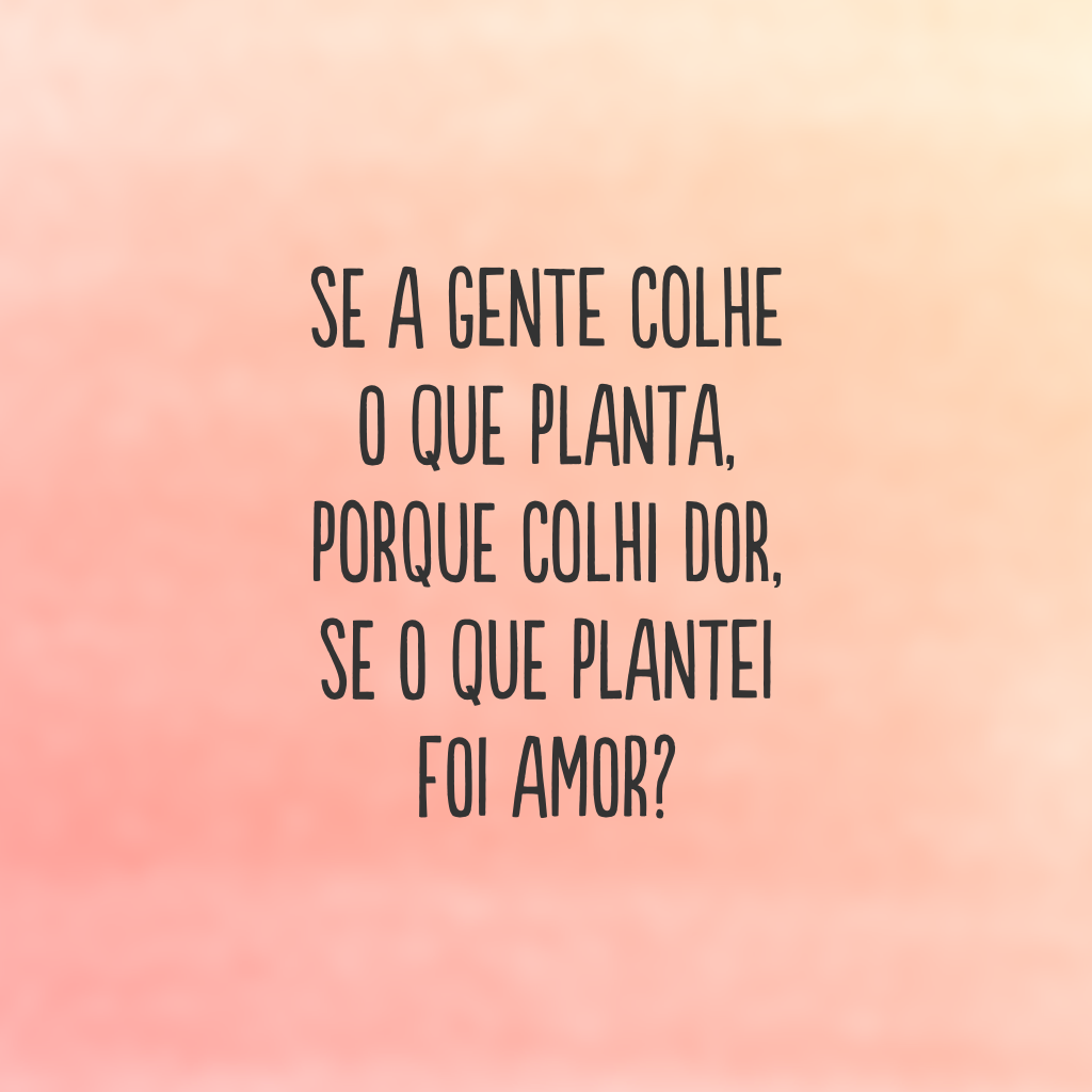 Se a gente colhe o que planta, porque colhi dor, se o que plantei foi amor?