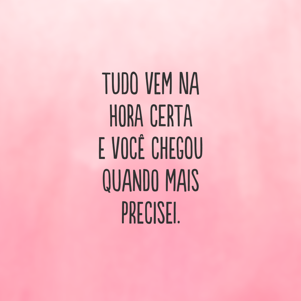 Tudo vem na hora certa e você chegou quando mais precisei.