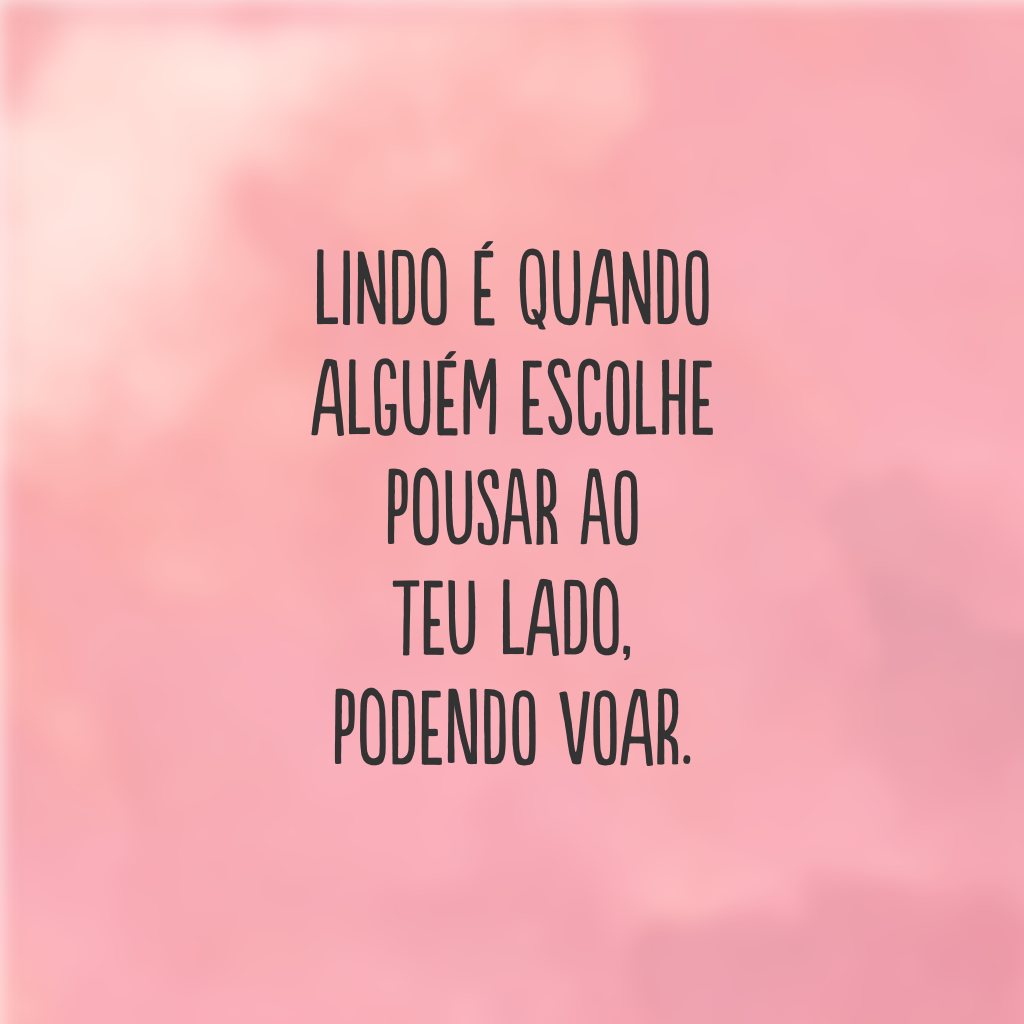 Lindo é quando alguém escolhe pousar ao teu lado, podendo voar.