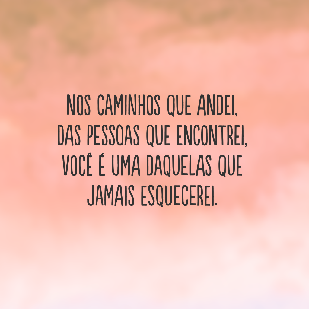 Nos caminhos que andei, 
das pessoas que encontrei, 
você é uma daquelas que jamais esquecerei.