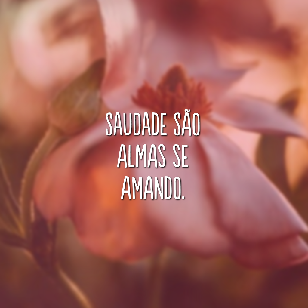 Saudade são almas se amando.