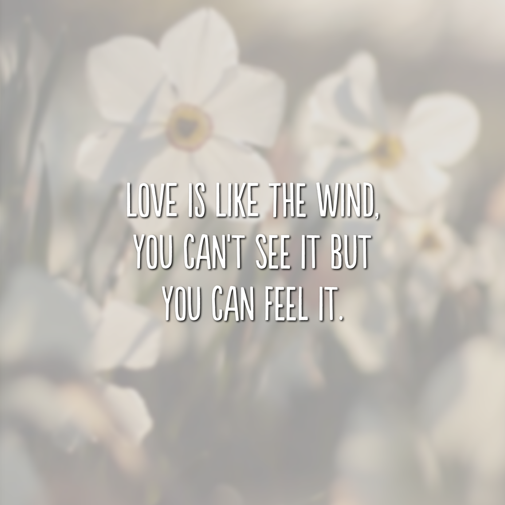 Love is like the wind, you can't see it but you can feel it. (Amor é como o vento, você não pode ver, mas pode sentir)