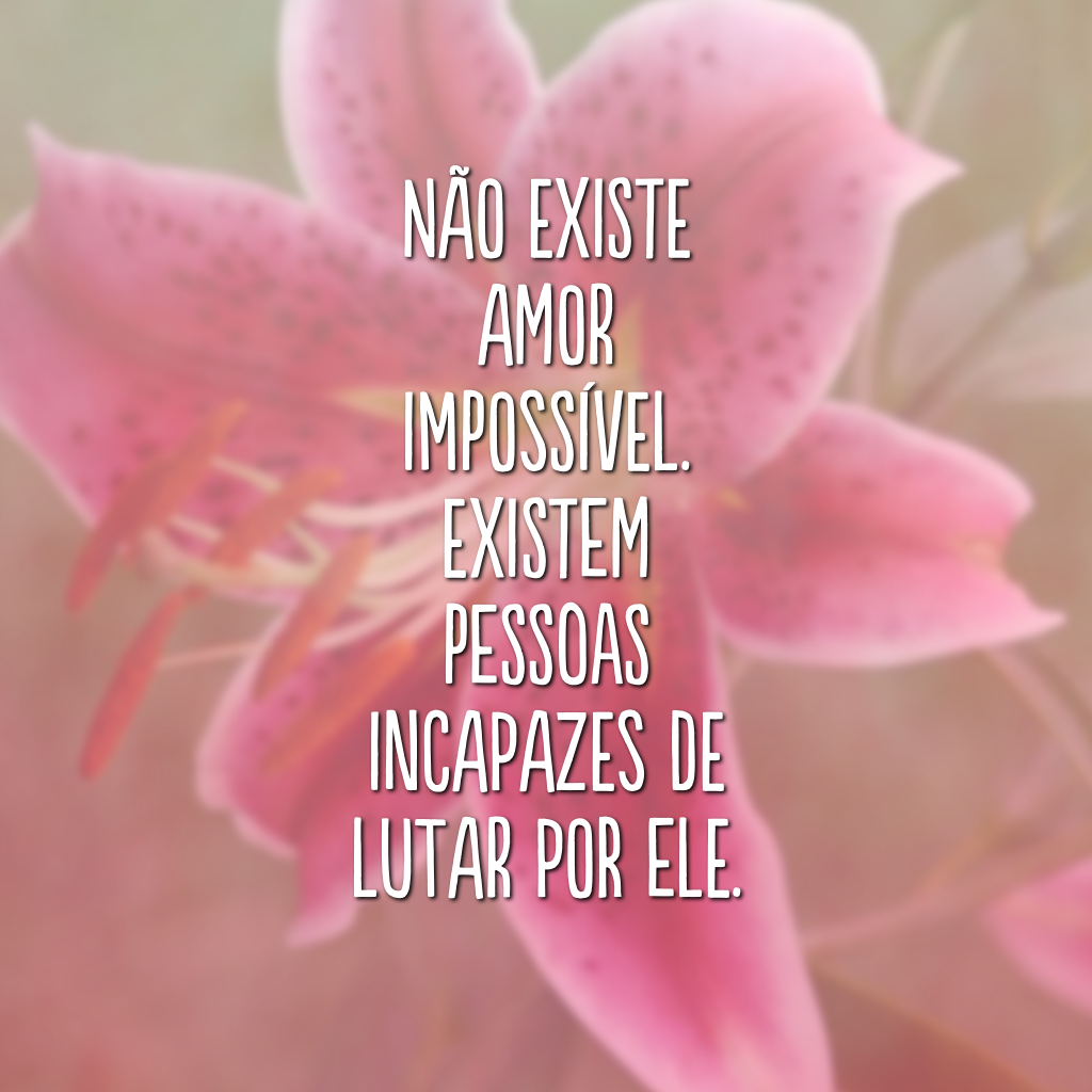 Não existe amor impossível. Existem pessoas incapazes de lutar por ele.