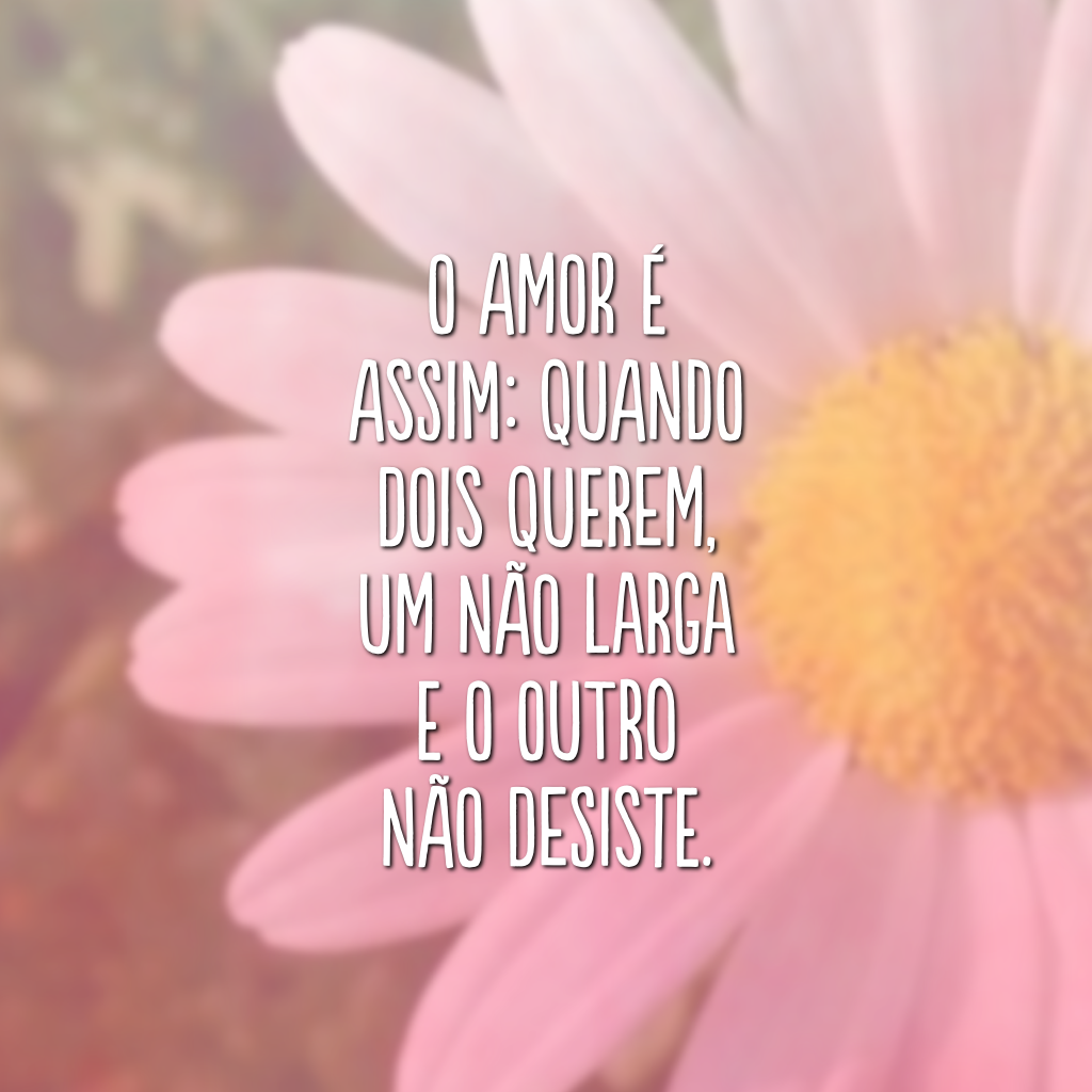 O amor é assim: quando dois querem, um não larga e o outro não desiste.