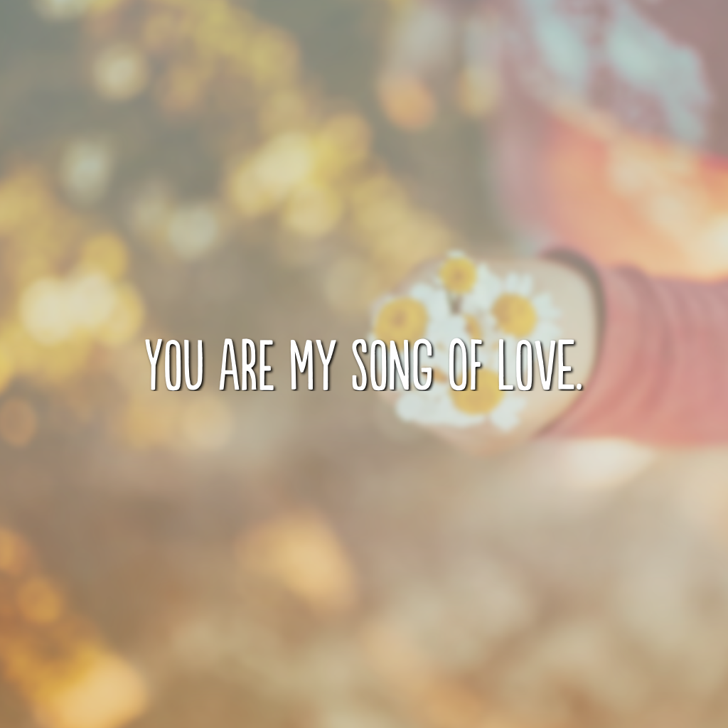 You are my song of love. (Você é a minha canção de amor)