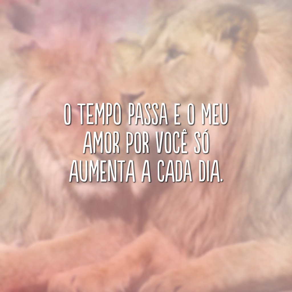 O tempo passa e o meu amor por você só aumenta a cada dia.