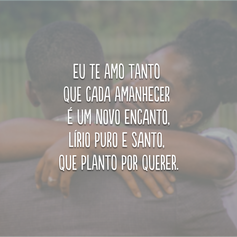 Eu te amo tanto que cada amanhecer é um novo encanto, lírio puro e santo, que planto por querer.