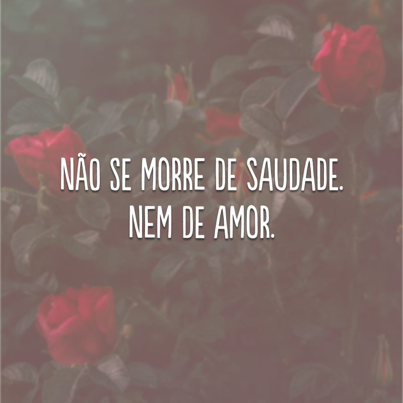 Não se morre de saudade. Nem de amor.