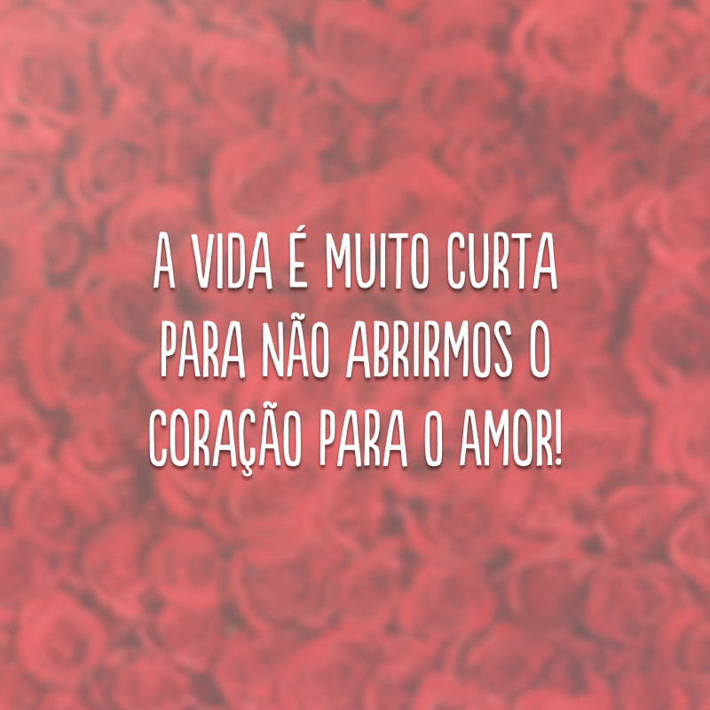 A vida é muito curta para não abrirmos o coração para o amor! 