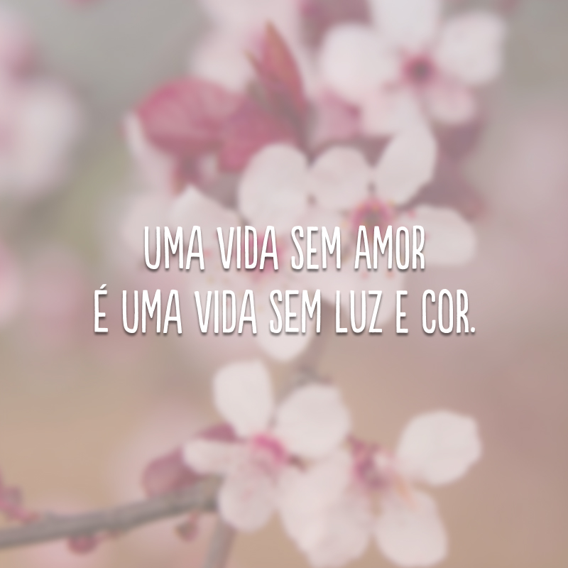 Uma vida sem amor é uma vida sem luz e cor. 