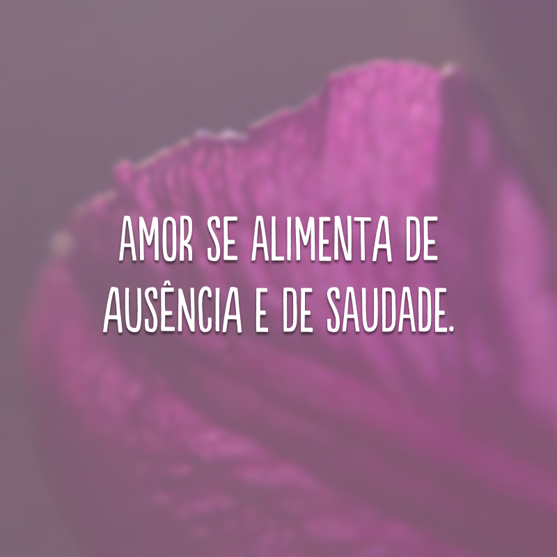 Amor se alimenta de ausência e de saudade.