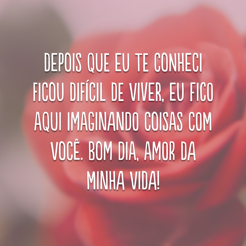 Depois que eu te conheci ficou difícil de viver, eu fico aqui imaginando coisas com você. Bom dia, amor da minha vida!