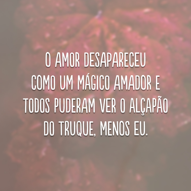 O amor desapareceu como um mágico amador e todos puderam ver o alçapão do truque, menos eu.