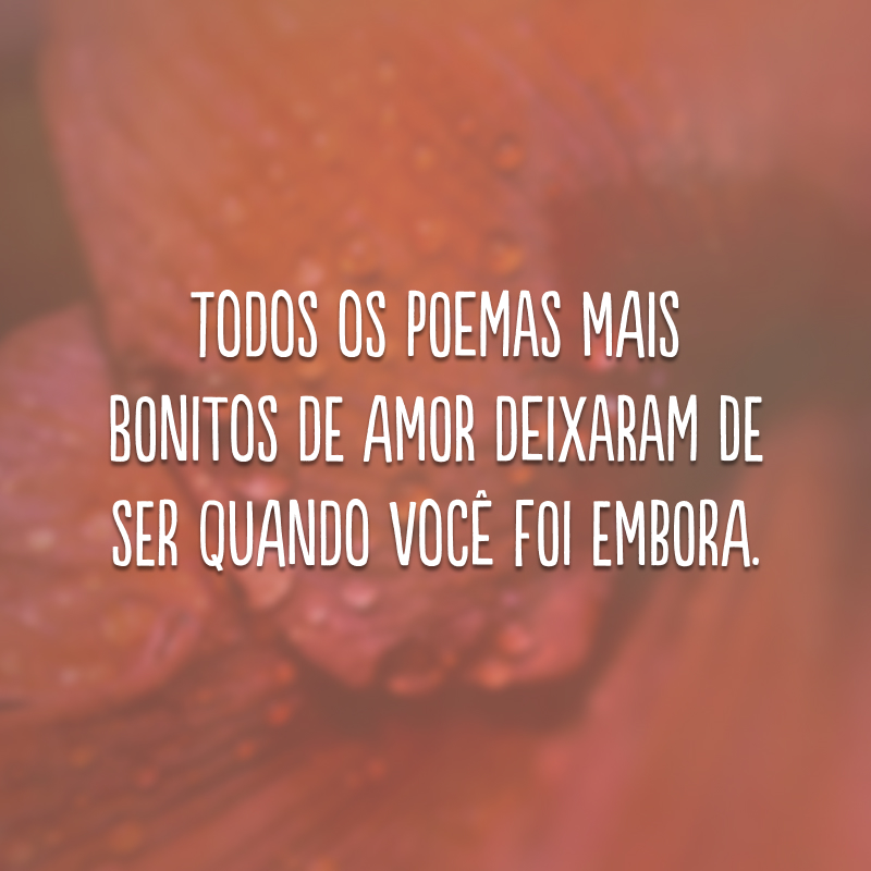 Todos os poemas mais bonitos de amor deixaram de ser quando você foi embora.