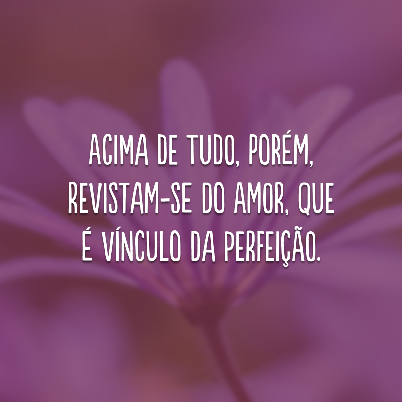 Acima de tudo, porém, revistam-se do amor, que é vínculo da perfeição.