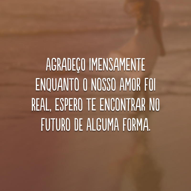 Agradeço imensamente enquanto o nosso amor foi real, espero te encontrar no futuro de alguma forma. 