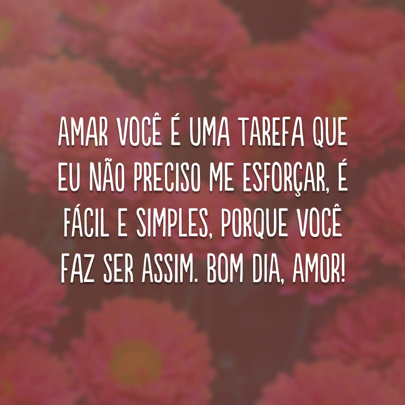 Amar você é uma tarefa que eu não preciso me esforçar, é fácil e simples, porque você faz ser assim. Bom dia, amor!