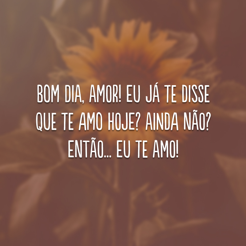 Bom dia, amor! Eu já te disse que te amo hoje? Ainda não? Então... Eu te amo!