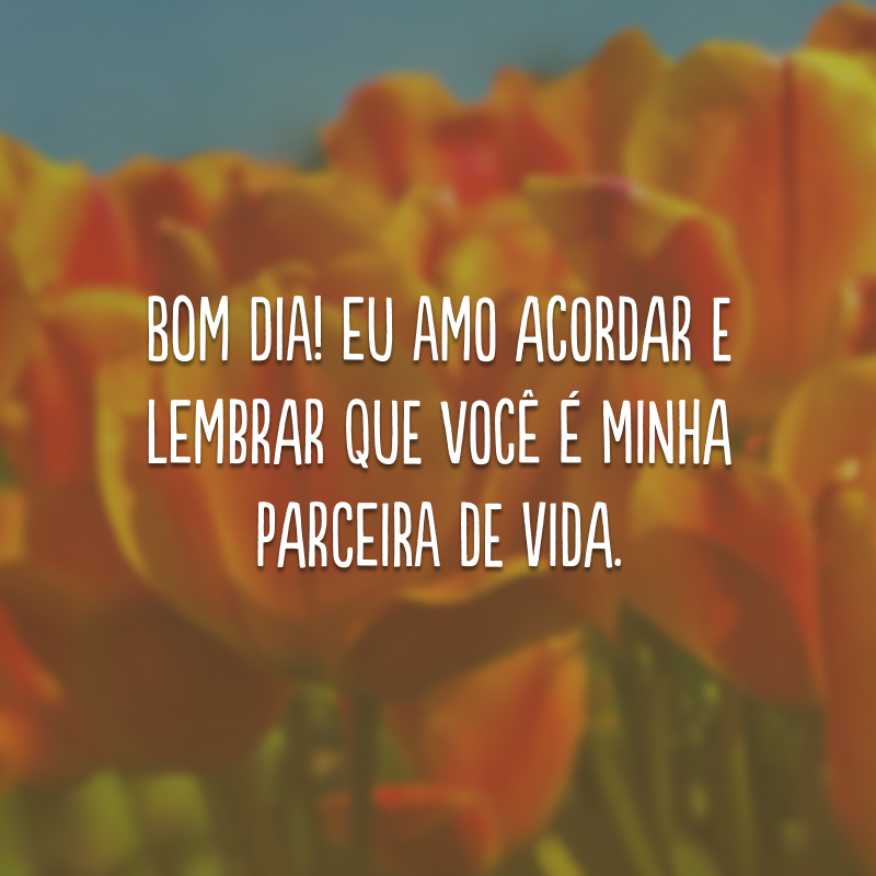 Bom dia! Eu amo acordar e lembrar que você é minha parceira de vida.