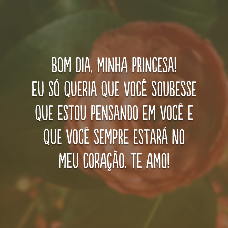 Bom dia, minha princesa! Eu só queria que você soubesse que estou pensando em você e que você sempre estará no meu coração. Te amo!