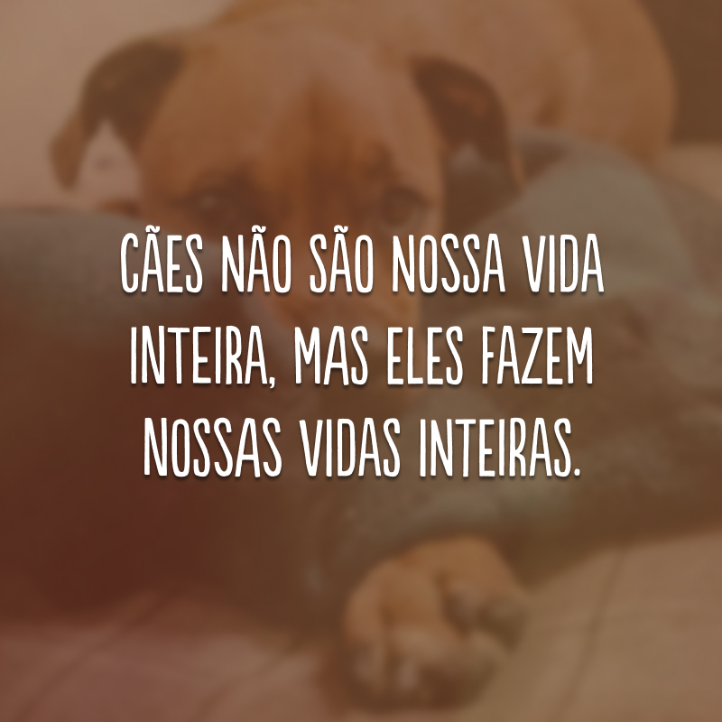 Cães não são nossa vida inteira, mas eles fazem nossas vidas inteiras. 