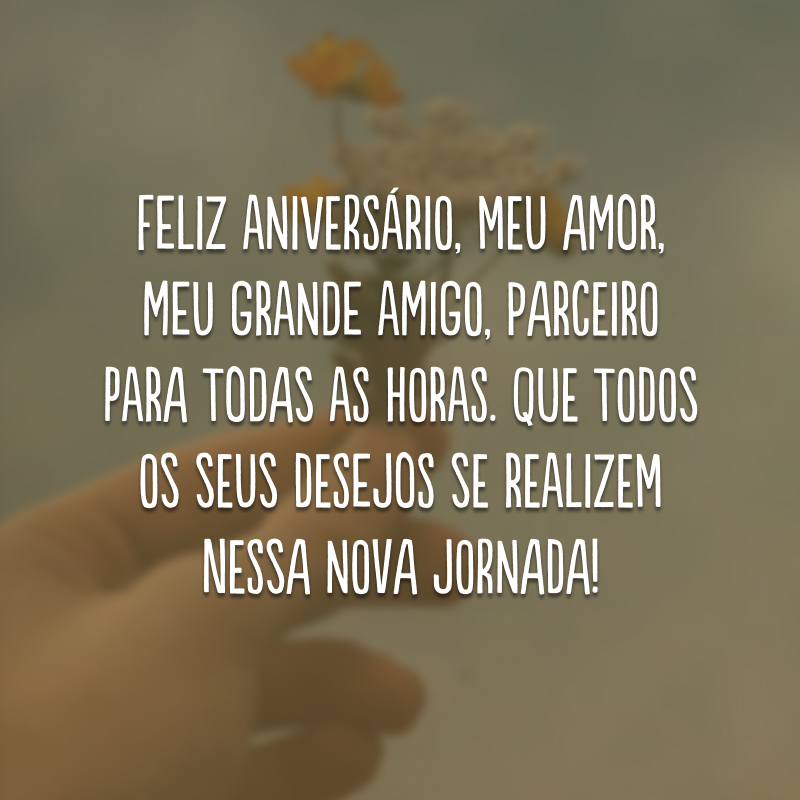 Feliz aniversário, meu amor, meu grande amigo, parceiro para todas as horas. Que todos os seus desejos se realizem nessa nova jornada!