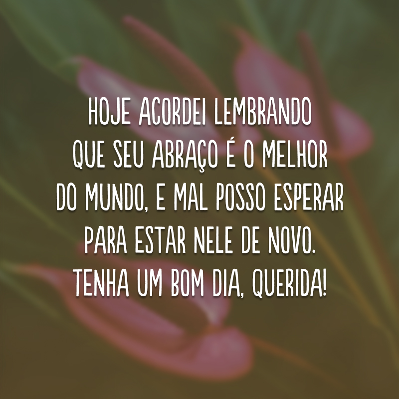 Hoje acordei lembrando que seu abraço é o melhor do mundo, e mal posso esperar para estar nele de novo. Tenha um bom dia, querida!