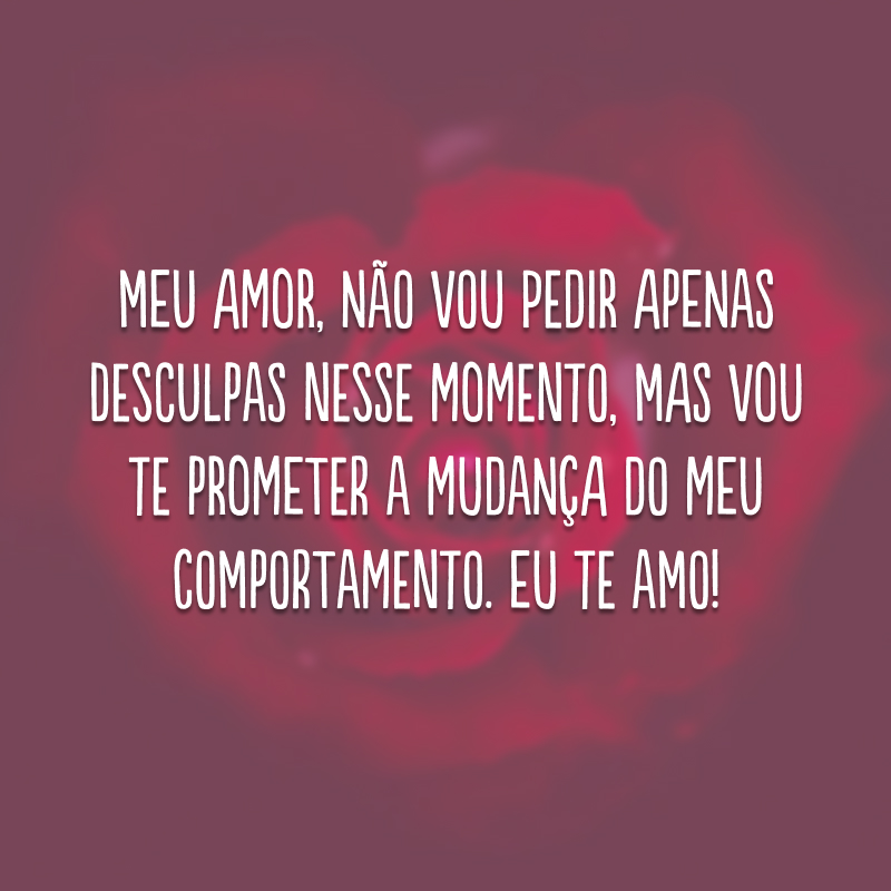 Meu amor, não vou pedir apenas desculpas nesse momento, mas vou te prometer a mudança do meu comportamento. Eu te amo!