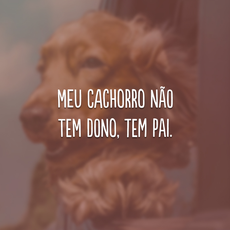 Meu cachorro não tem dono, tem pai.