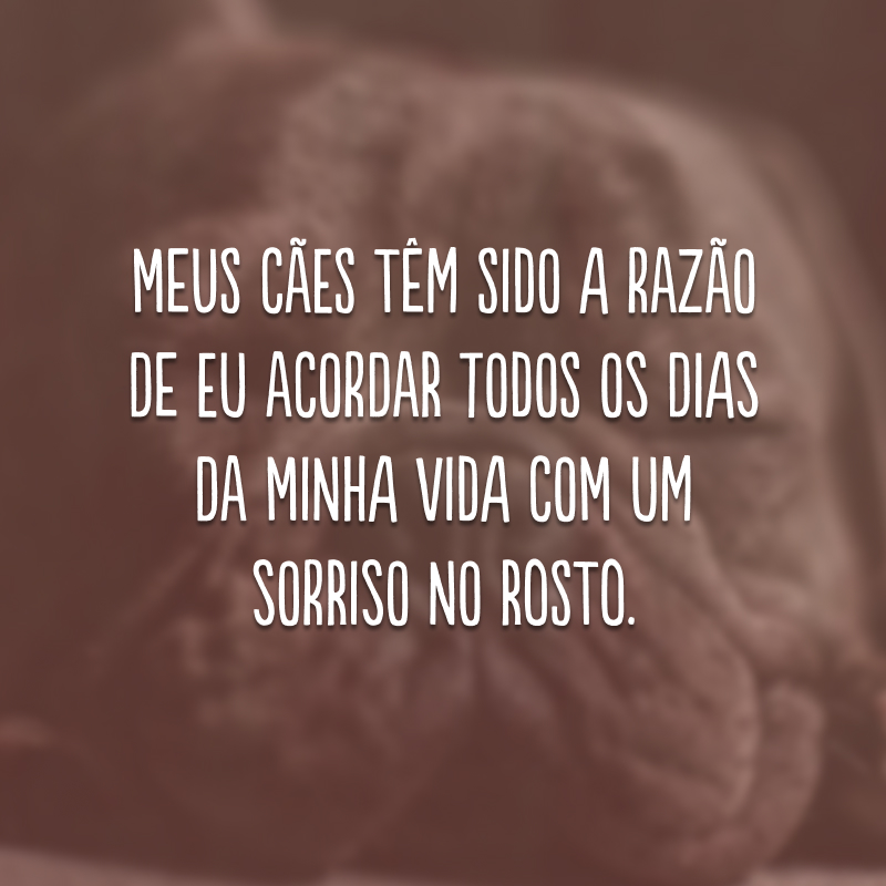 Meus cães têm sido a razão de eu acordar todos os dias da minha vida com um sorriso no rosto.