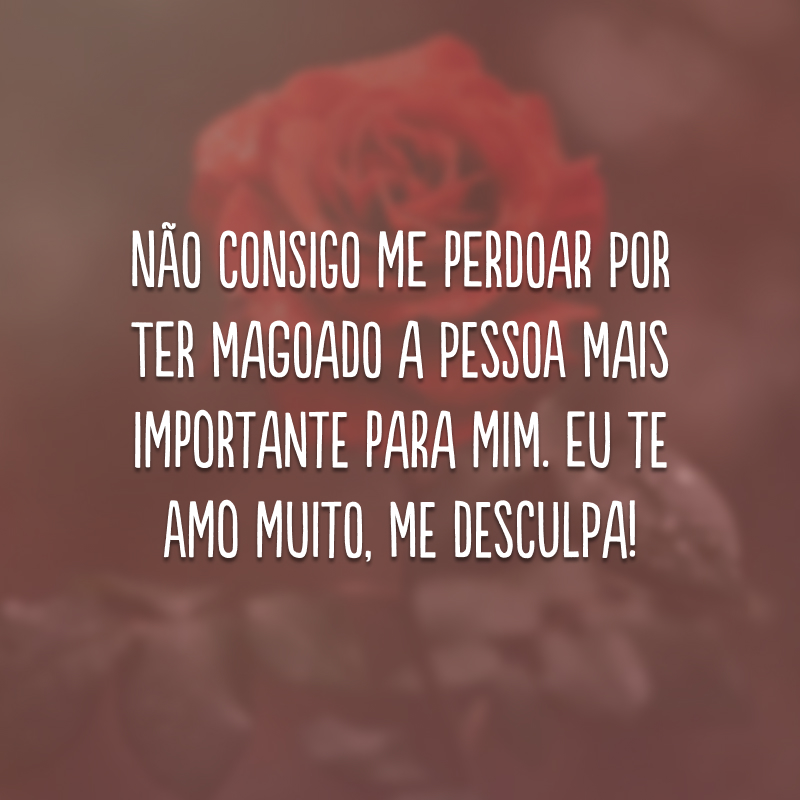 Não consigo me perdoar por ter magoado a pessoa mais importante para mim. Eu te amo muito, me desculpa!