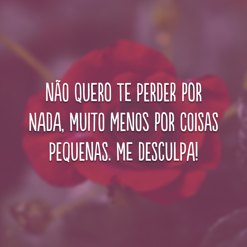Não quero te perder por nada, muito menos por coisas pequenas. Me desculpa!