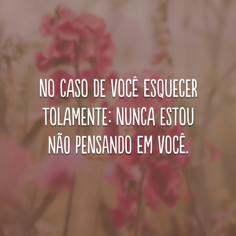 No caso de você esquecer tolamente: nunca estou não pensando em você.