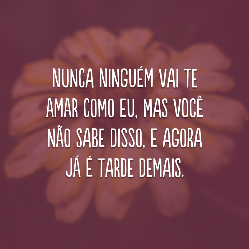 Nunca ninguém vai te amar como eu, mas você não sabe disso, e agora já é tarde demais.