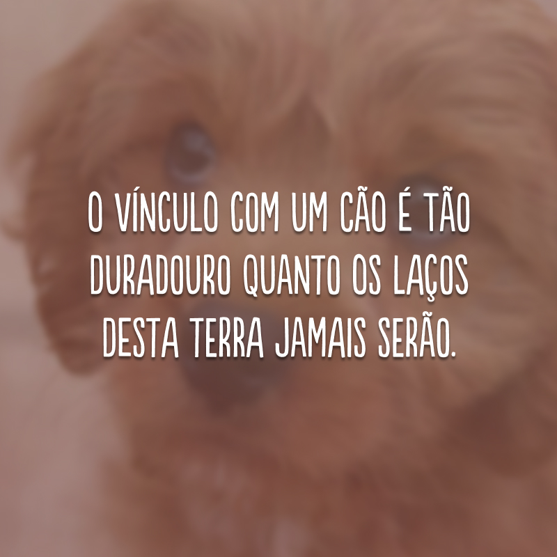 O vínculo com um cão é tão duradouro quanto os laços desta terra jamais serão.