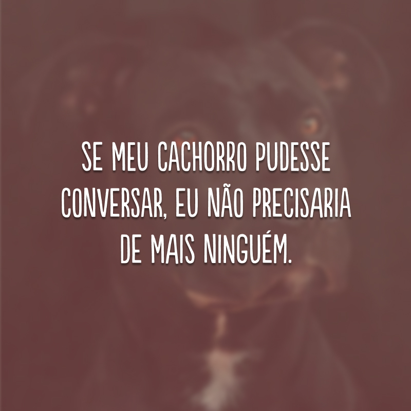 Se meu cachorro pudesse conversar, eu não precisaria de mais ninguém. 