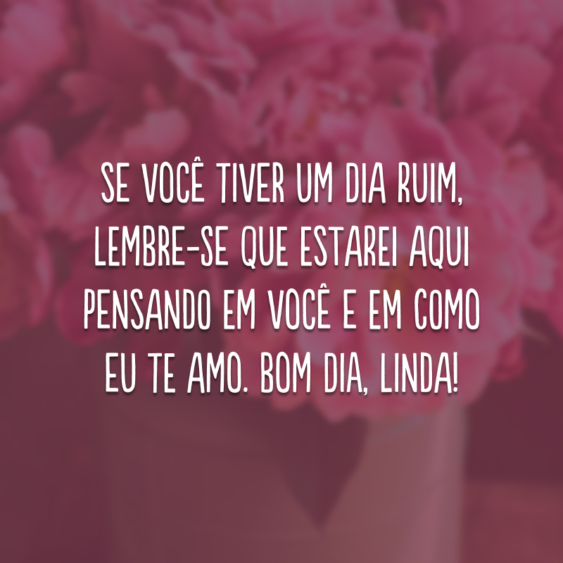 Se você tiver um dia ruim, lembre-se que estarei aqui pensando em você e em como eu te amo. Bom dia, linda!