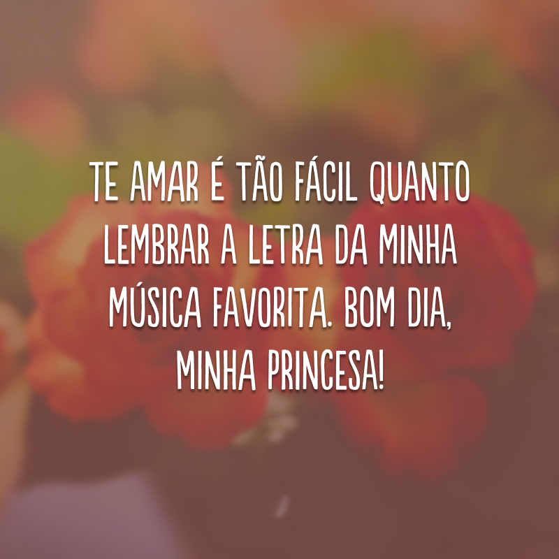 Te amar é tão fácil quanto lembrar a letra da minha música favorita. Bom dia, minha princesa!