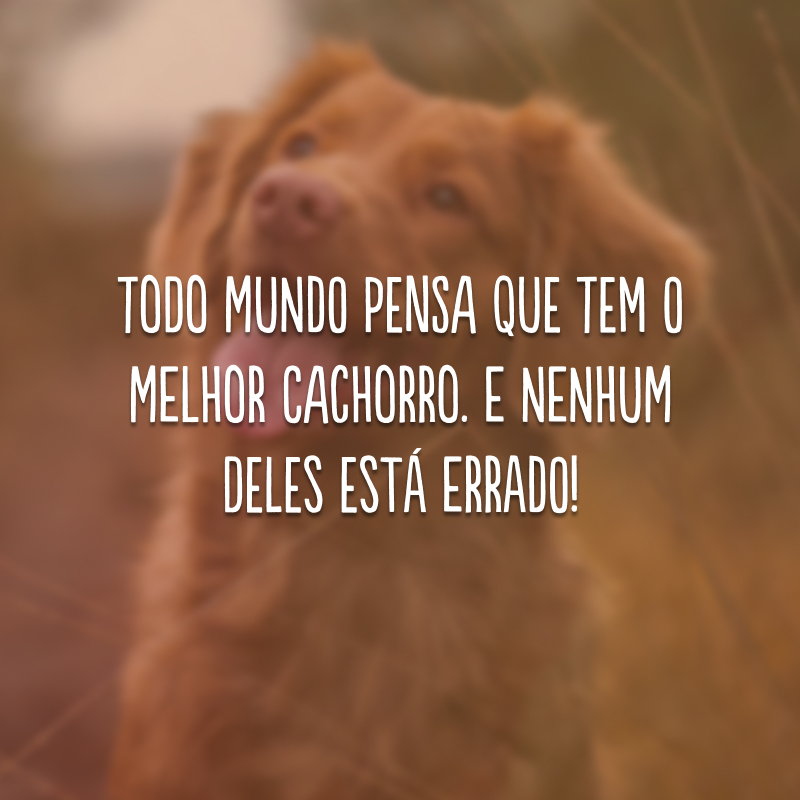 Todo mundo pensa que tem o melhor cachorro. E nenhum deles está errado!