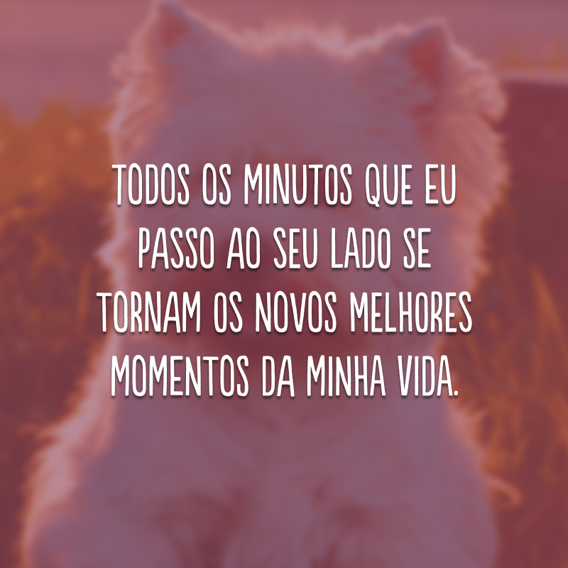 Todos os minutos que eu passo ao seu lado se tornam os novos melhores momentos da minha vida. 