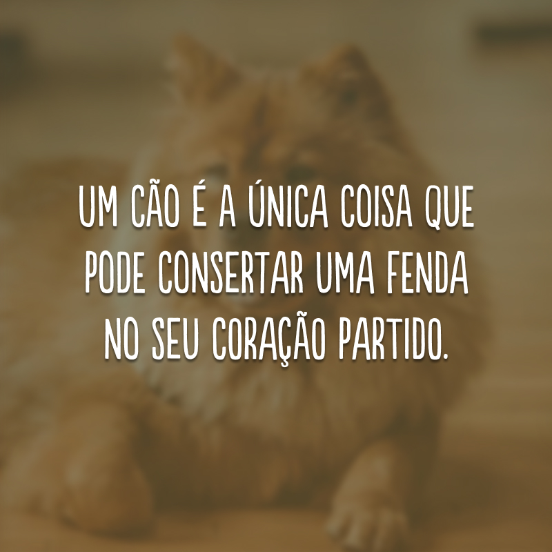 Um cão é a única coisa que pode consertar uma fenda no seu coração partido.